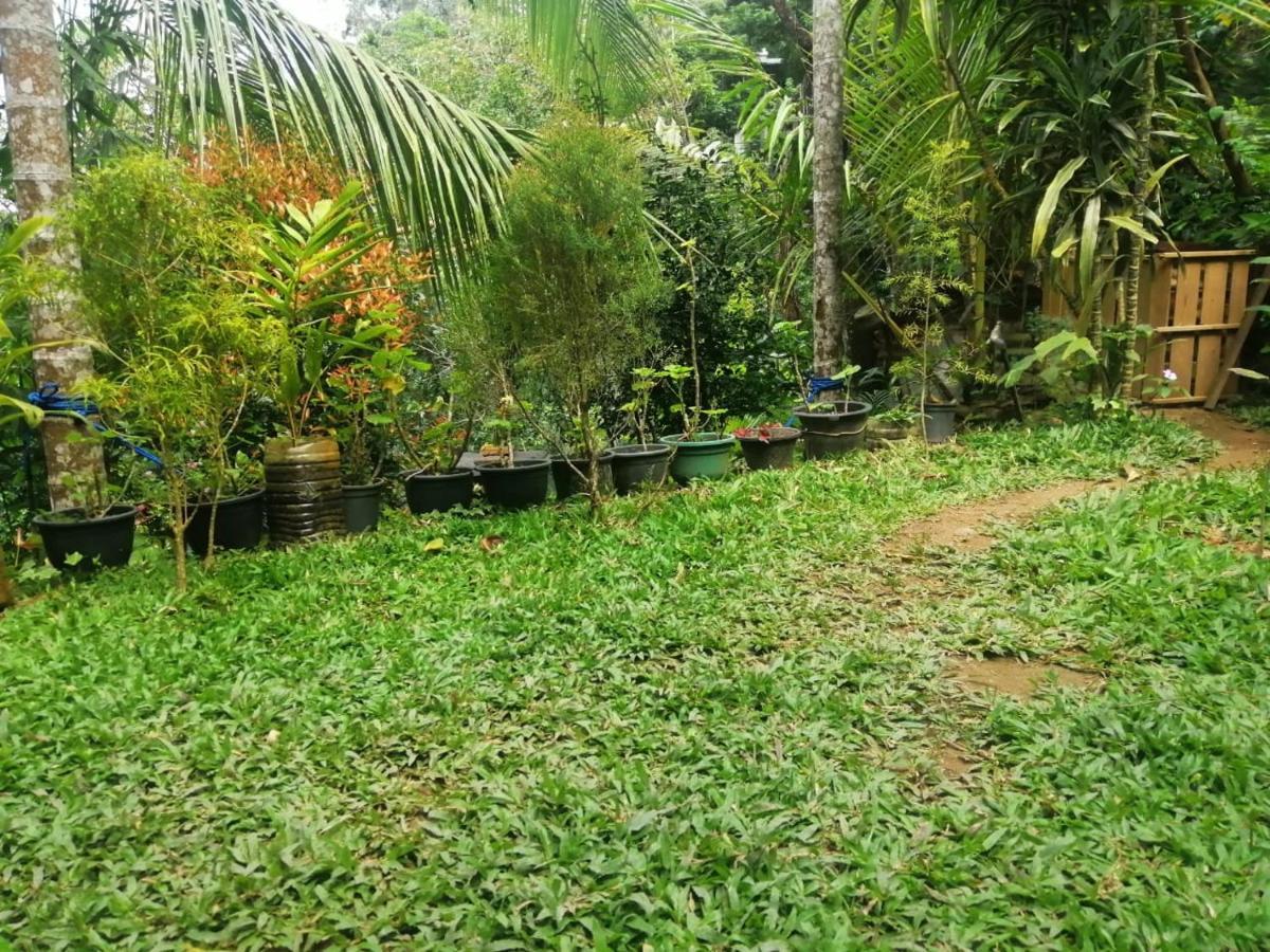 Homestay Sky Garden *