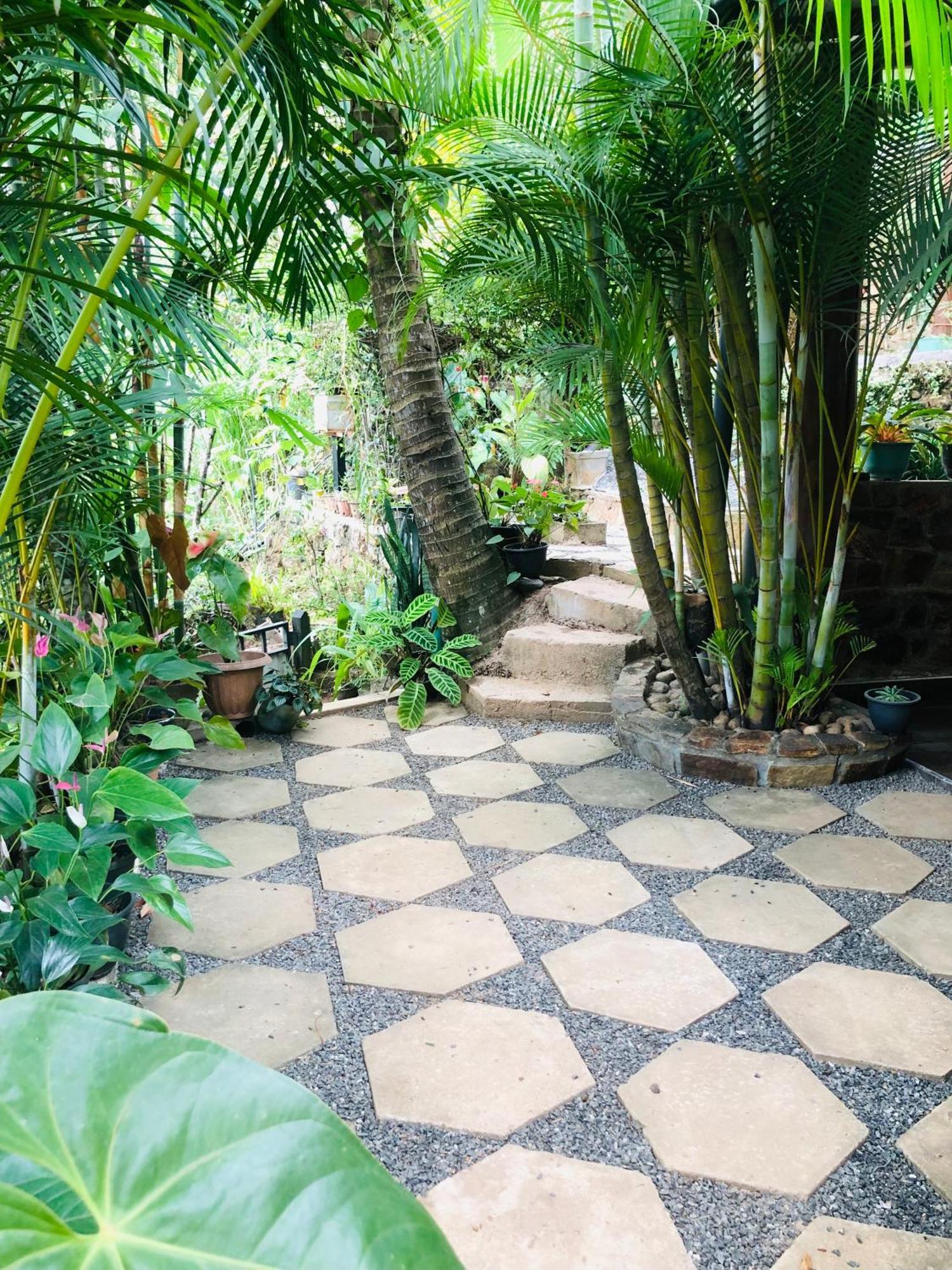 Sky Garden Homestay *